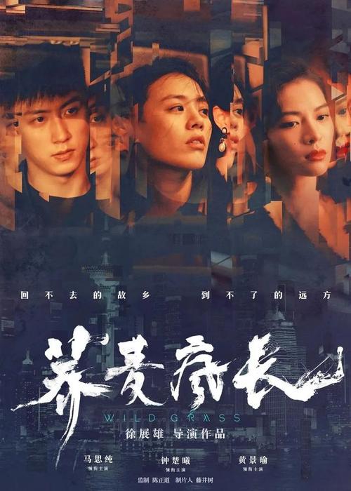 港澳通行证作假